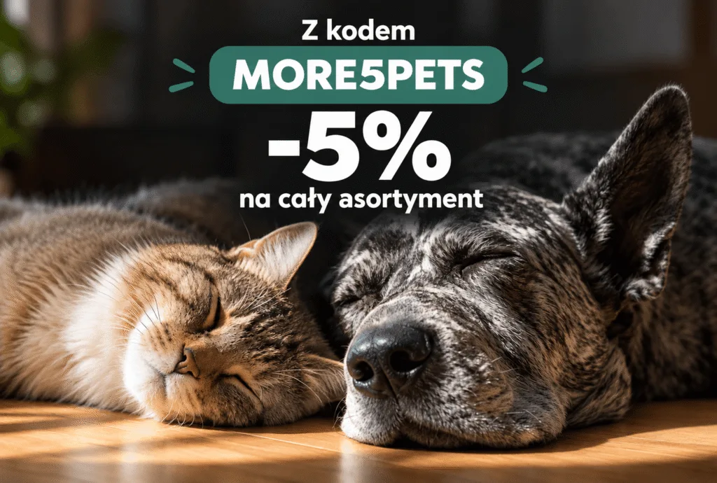 grafika z rabatem -5%